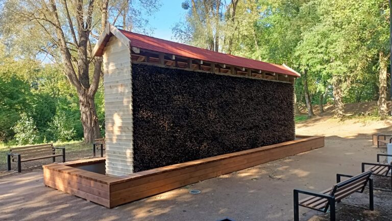 481951437 1159386385883921 3922295488294681849 n