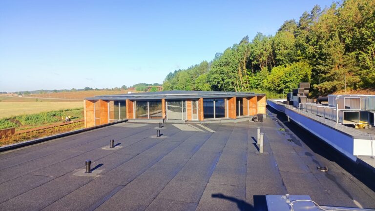 482197223 1153512679804625 417475921765756490 n