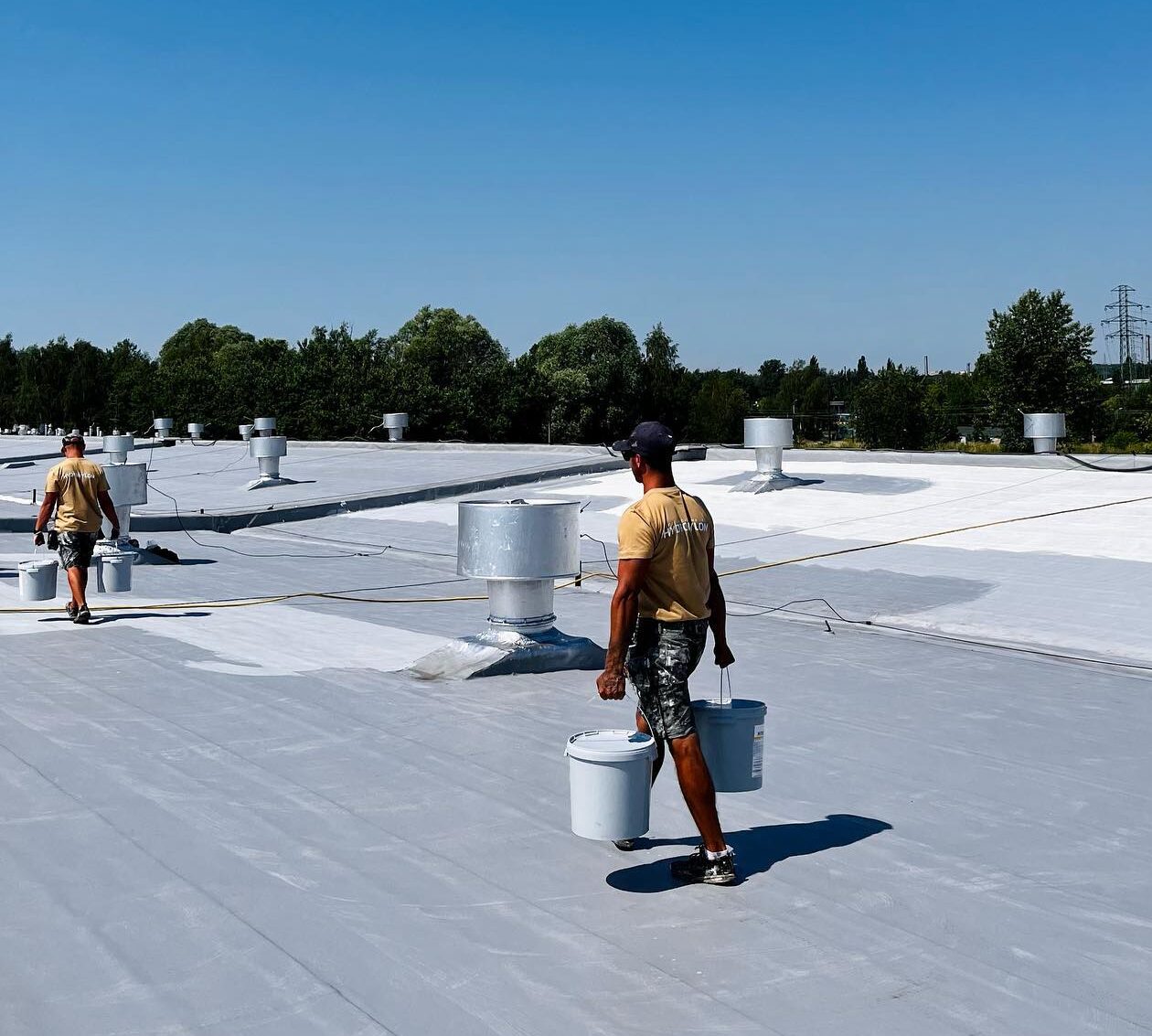 484377422 9347429615374183 7284208094405105602 n